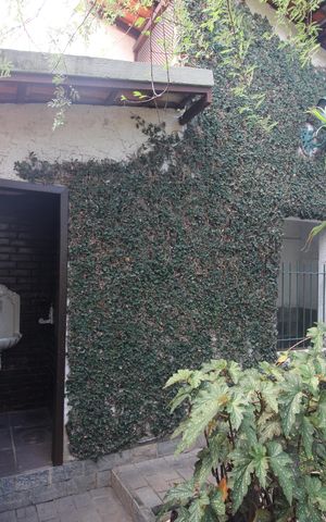 Casa à venda com 450m², 4 quartos e 4 vagasQuintal - Banheiro e canil 