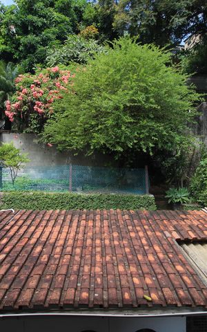 Casa à venda com 450m², 4 quartos e 4 vagasQuarto 1 - Vista
