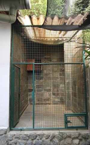 Casa à venda com 450m², 4 quartos e 4 vagasQuintal - Viveiro