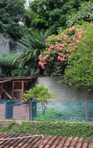 Casa à venda com 450m², 4 quartos e 4 vagasQuintal - Criadouro 