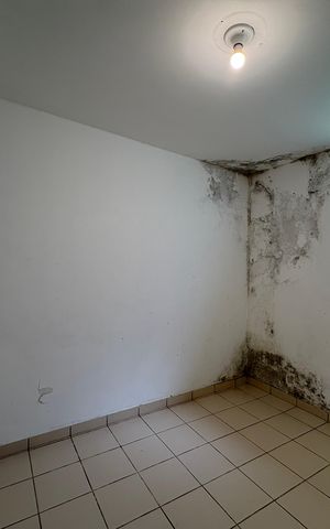 Casa à venda com 341m², 5 quartos e sem vaga Casa à venda com 341m², 5 quartos e sem vagaQuarto de Serviço