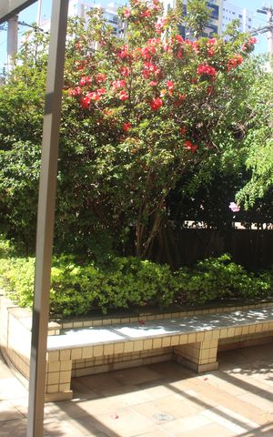 Apartamento à venda com 175m², 4 quartos e 4 vagasÁrea comum