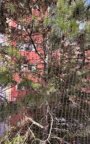 Apartamento à venda com 68m², 3 quartos e 1 vaga Apartamento à venda com 68m², 3 quartos e 1 vagaVista do Quarto 2