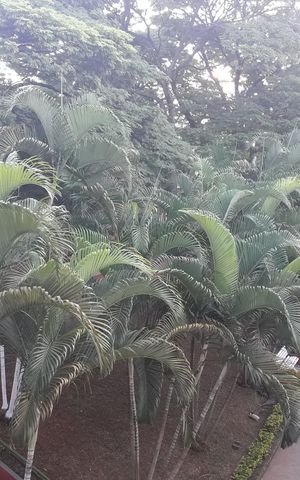 Apartamento à venda com 67m², 2 quartos e 1 vaga Apartamento à venda com 67m², 2 quartos e 1 vagaÁrea externa