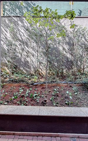 Studio para alugar com 17m², 1 quarto e sem vaga Studio para alugar com 17m², 1 quarto e sem vagaVista