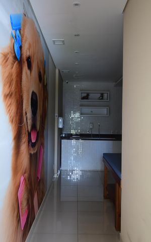 Apartamento para alugar com 188m², 3 quartos e 3 vagasPet Care