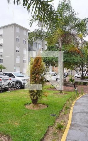 Apartamento para alugar com 53m², 2 quartos e 1 vaga Apartamento para alugar com 53m², 2 quartos e 1 vagaÁrea externa