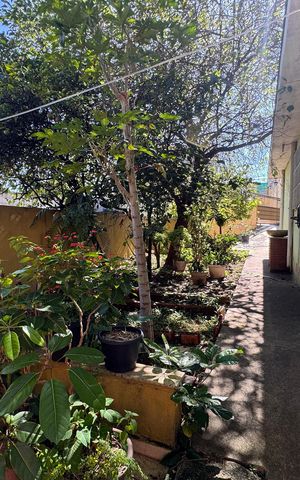 Casa à venda com 1365m², 3 quartos e sem vagaQuintal