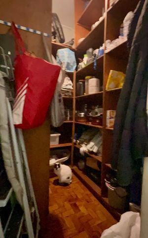Apartamento à venda com 93m², 2 quartos e 1 vaga Apartamento à venda com 93m², 2 quartos e 1 vagaDespensa