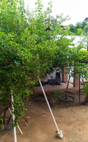 Casa à venda com 300m², 2 quartos e 2 vagas