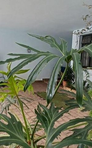 Casa à venda com 193m², 3 quartos e 2 vagasÁrea externa