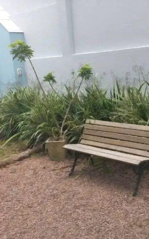 Apartamento à venda com 60m², 2 quartos e 1 vaga Apartamento à venda com 60m², 2 quartos e 1 vagaÁrea externa