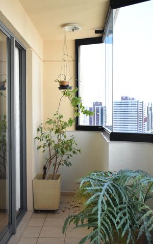 Apartamento à venda com 107m², 3 quartos e 2 vagasSacada