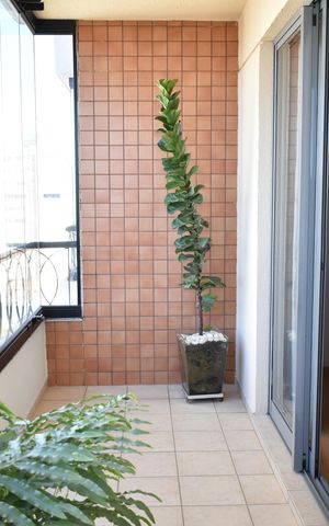 Apartamento à venda com 107m², 3 quartos e 2 vagasSacada