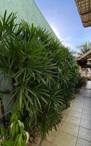 Casa à venda com 271m², 4 quartos e 3 vagas