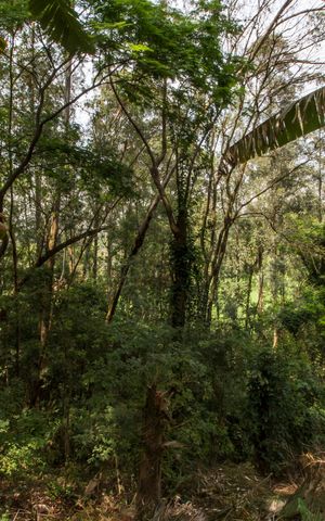 Casa de condomínio à venda com 300m², 4 quartos e 6 vagasÁrea comum