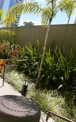 Studio à venda com 24m², 1 quarto e sem vaga Studio à venda com 24m², 1 quarto e sem vagaÁrea comum