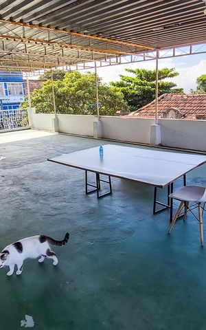 Casa à venda com 226m², 4 quartos e 2 vagasTerraço 3º Andar