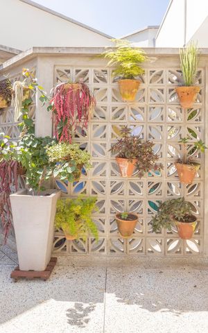 Casa à venda com 500m², 3 quartos e 3 vagasQuintal