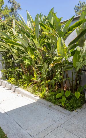 Casa à venda com 500m², 3 quartos e 3 vagasQuintal