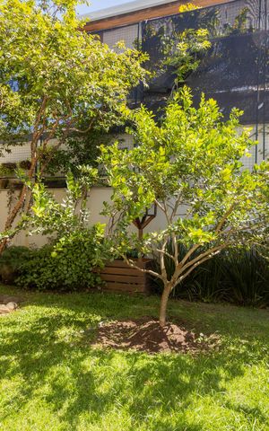 Casa à venda com 500m², 3 quartos e 3 vagasQuintal