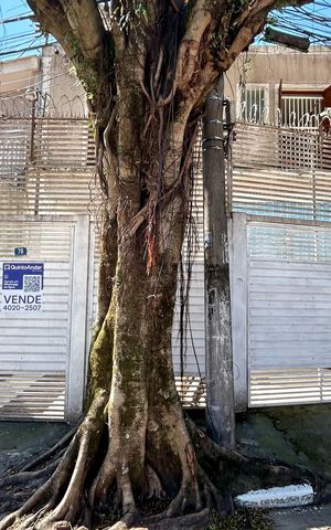 Casa à venda com 162m², 3 quartos e 2 vagas Casa à venda com 162m², 3 quartos e 2 vagasPlaca instalada na fachada do imóvel