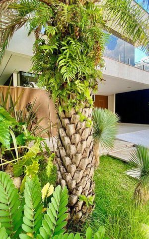 Casa à venda com 283m², 3 quartos e 4 vagas