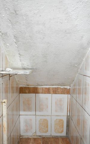 Casa para alugar com 31m², 1 quarto e sem vaga