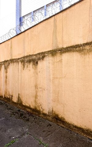 Apartamento à venda com 74m², 2 quartos e 1 vaga Apartamento à venda com 74m², 2 quartos e 1 vagaVista do Quarto 2
