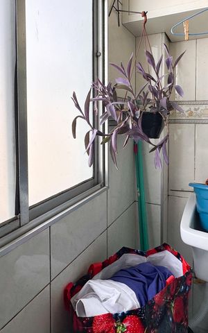 Apartamento à venda com 56m², 2 quartos e 1 vagaÁrea de Serviço