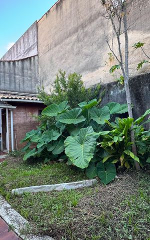 Casa à venda com 497m², 4 quartos e 2 vagasQuintal