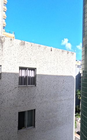 Apartamento para alugar com 96m², 2 quartos e 1 vagaVista do Quarto 3