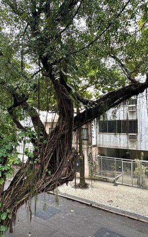 Apartamento à venda com 188m², 4 quartos e 2 vagas Apartamento à venda com 188m², 4 quartos e 2 vagasVista da Sala