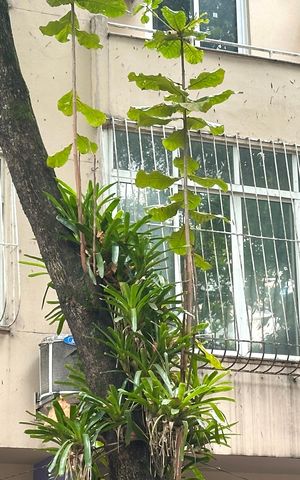 Apartamento à venda com 188m², 4 quartos e 2 vagas Apartamento à venda com 188m², 4 quartos e 2 vagasFachada