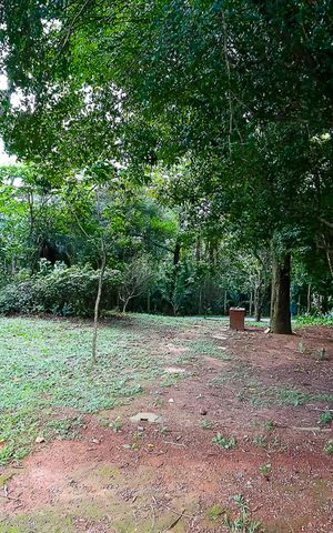 Apartamento à venda com 50m², 2 quartos e 1 vaga Apartamento à venda com 50m², 2 quartos e 1 vagabosque