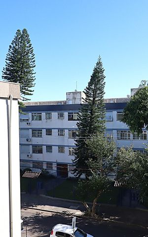 Apartamento para alugar com 46m², 1 quarto e sem vagaVista da Suíte