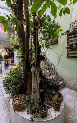 Casa à venda com 190m², 2 quartos e 3 vagas Casa à venda com 190m², 2 quartos e 3 vagasQuintal