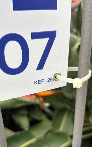 Apartamento à venda com 67m², 2 quartos e 1 vaga