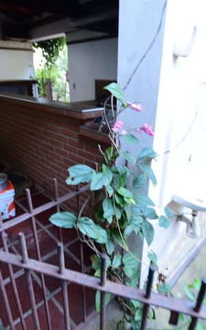Casa para alugar com 1500m², 3 quartos e 4 vagasBanheiro de serviço