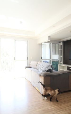 Apartamento à venda com 115m², 4 quartos e 2 vagasSala
