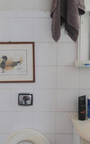 Casa à venda com 230m², 5 quartos e 3 vagasBanheiro da Suíte