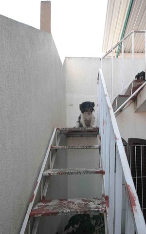 Casa à venda com 250m², 3 quartos e 2 vagas