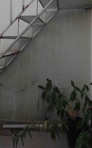Casa à venda com 250m², 3 quartos e 2 vagas