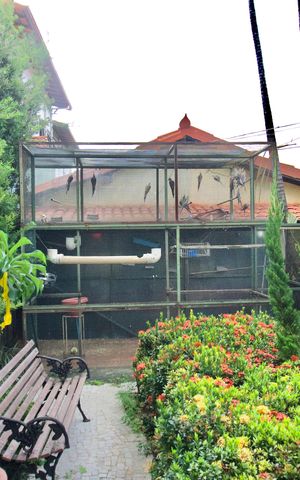 Casa à venda com 360m², 3 quartos e 6 vagas Casa à venda com 360m², 3 quartos e 6 vagasJardim
