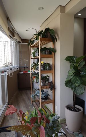 Apartamento à venda com 95m², 3 quartos e 2 vagasVaranda da Sala