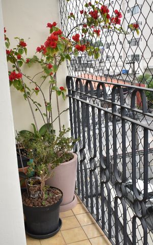 Apartamento à venda com 98m², 3 quartos e 1 vagaSacada