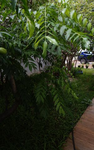 Casa à venda com 220m², 3 quartos e 2 vagas