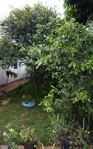Casa à venda com 220m², 3 quartos e 2 vagas