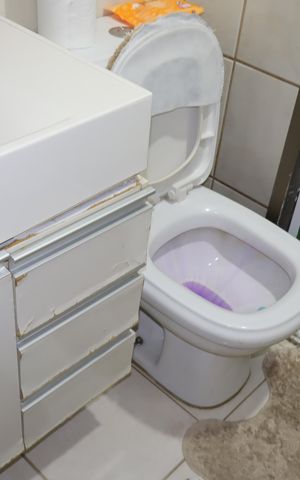 Apartamento à venda com 55m², 2 quartos e 1 vagaBanheiro