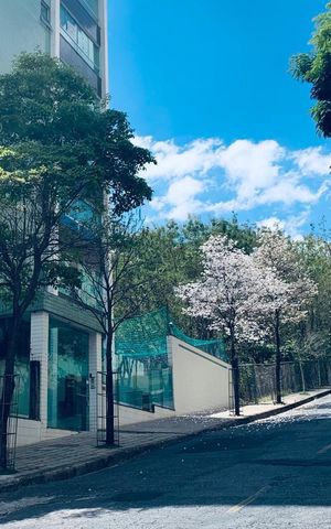 Apartamento para alugar com 230m², 4 quartos e 4 vagas